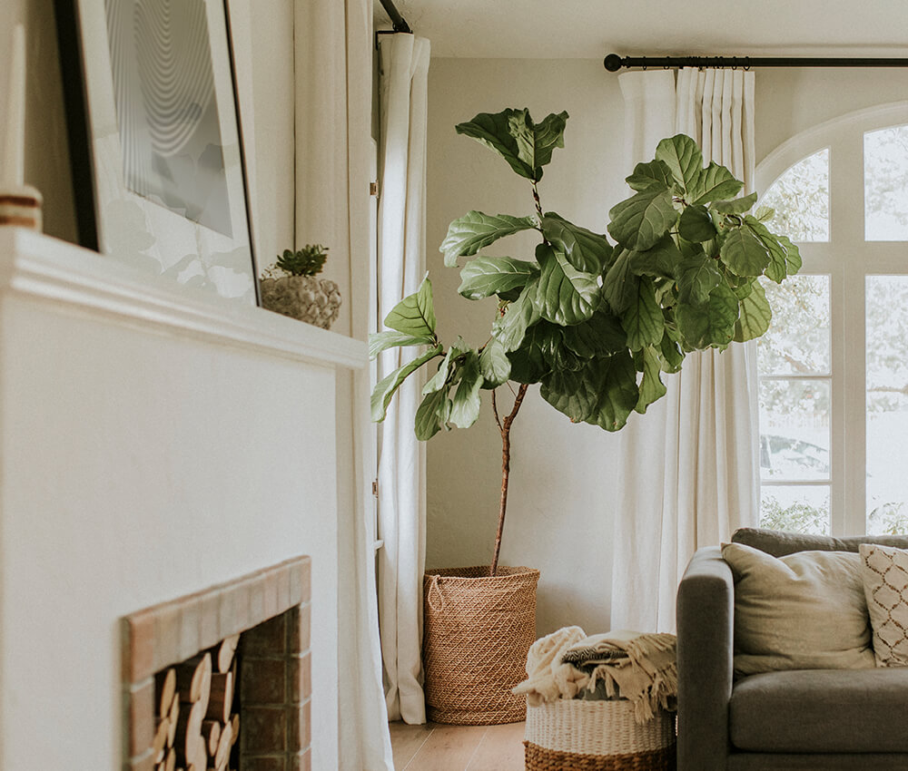 image-7ad3ba0 image-7ad3ba0